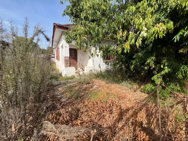 Terreno / Lote para Venda em Guaíba/RS Centro 1 Quartos