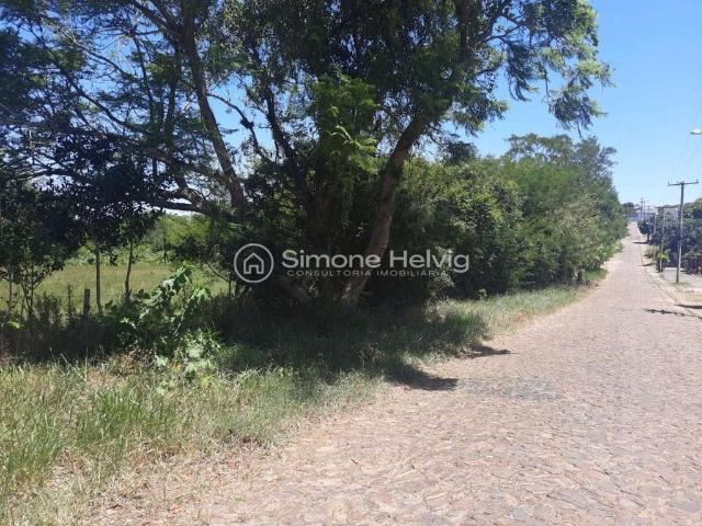 Terreno / Lote para Venda em Guaíba/RS Centro