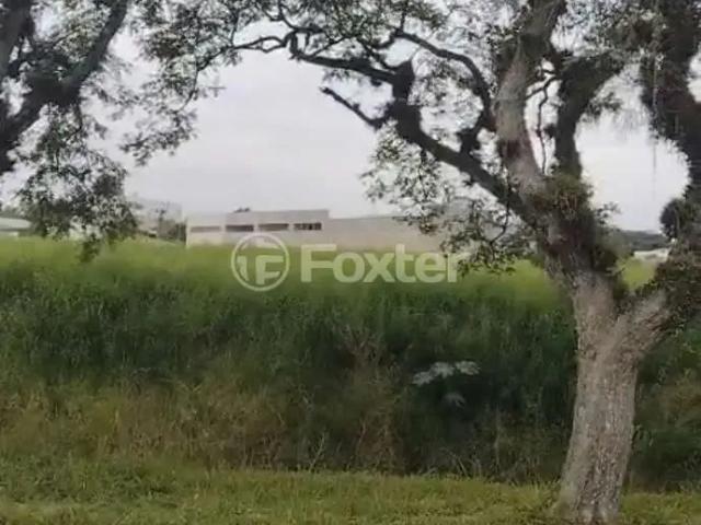 Terreno / Lote para Venda em Guaíba/RS Centro