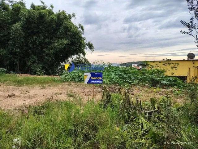 Terreno / Lote para Venda em Guaíba/RS Centro