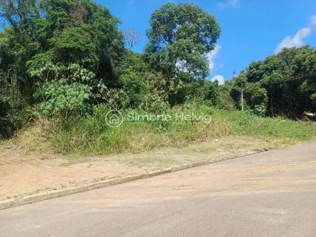 Terreno / Lote para Venda em Guaíba/RS Ermo