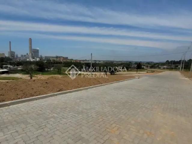 Terreno / Lote para Venda em Guaíba/RS Ermo