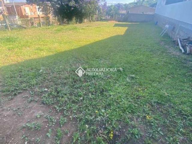 Terreno / Lote para Venda em Guaíba/RS Ermo
