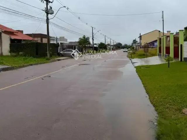 Terreno / Lote para Venda em Guaíba/RS Flórida