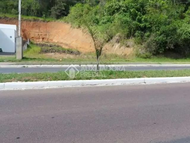 Terreno / Lote para Venda em Guaíba/RS Colina