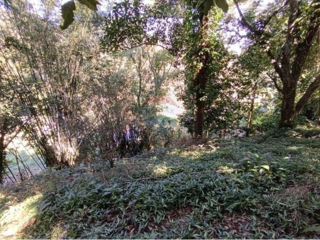 Terreno / Lote para Venda em Guapimirim/RJ Centro