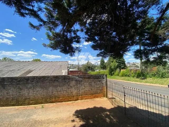 Terreno / Lote para Venda em Guarapuava/PR Centro
