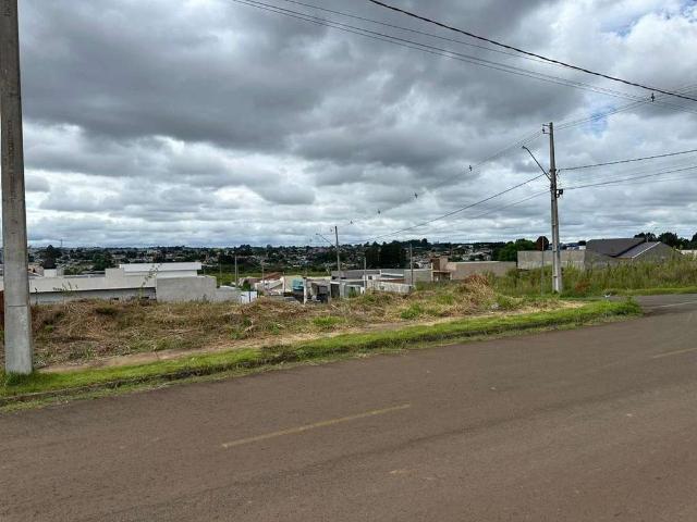 Terreno / Lote para Venda em Guarapuava/PR Alto Cascavel
