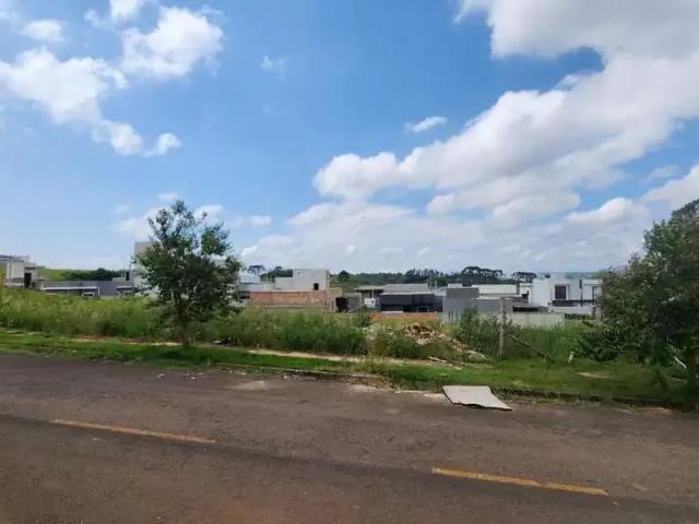 Terreno / Lote para Venda em Guarapuava/PR Alto Cascavel