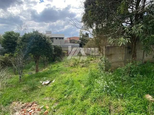 Terreno / Lote para Venda em Guarapuava/PR Alto da XV