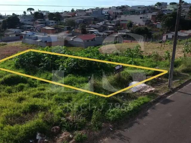 Terreno / Lote para Venda em Guarapuava/PR Alto da XV