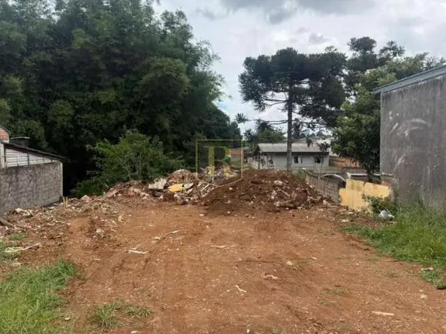 Terreno / Lote para Venda em Guarapuava/PR Alto da XV