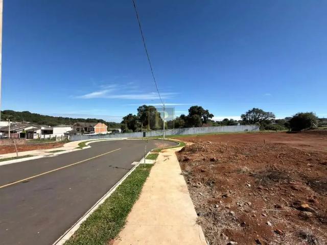 Terreno / Lote para Venda em Guarapuava/PR Alto da XV