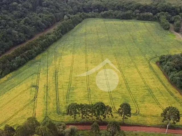 Terreno / Lote para Venda em Guarapuava/PR Área Rural de Guarapuava