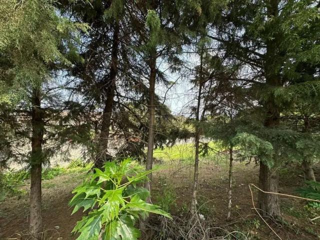 Terreno / Lote para Venda em Guarapuava/PR Boqueirão