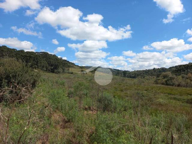 Terreno / Lote para Venda em Guarapuava/PR Guará