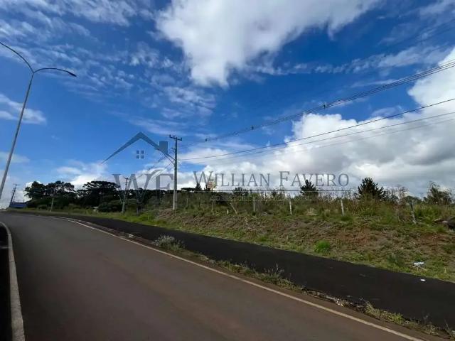 Terreno / Lote para Venda em Guarapuava/PR Imóvel Morro Alto
