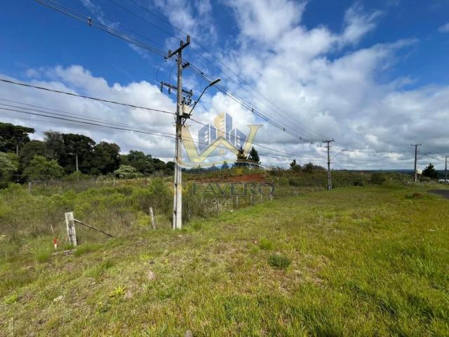 Terreno / Lote para Venda em Guarapuava/PR Imóvel Morro Alto