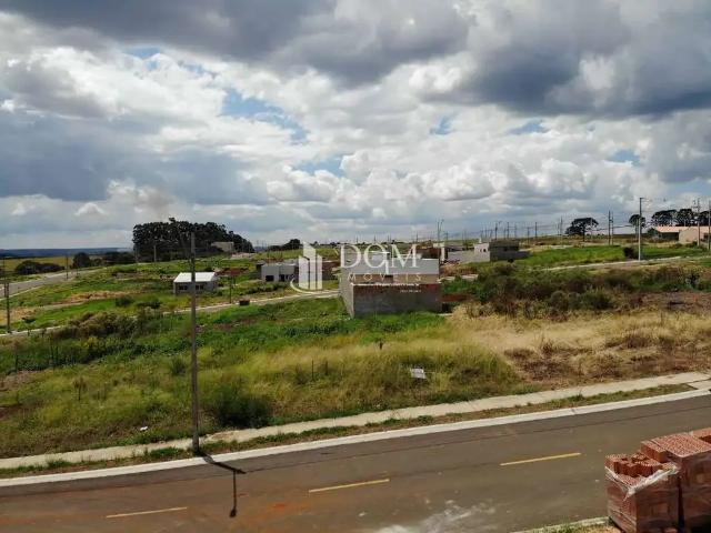 Terreno / Lote para Venda em Guarapuava/PR Industrial