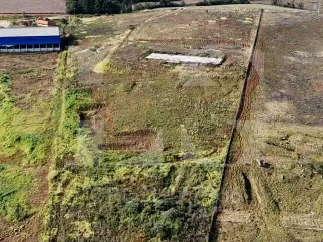 Terreno / Lote para Venda em Guarapuava/PR Industrial