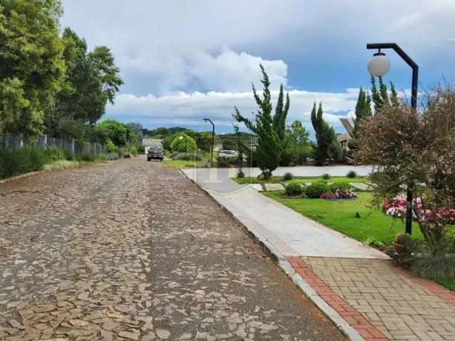 Terreno / Lote para Venda em Guarapuava/PR Industrial