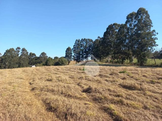 Terreno / Lote para Venda em Guarapuava/PR Jardim das Américas