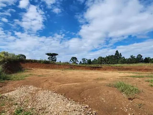 Terreno / Lote para Venda em Guarapuava/PR Morro Alto