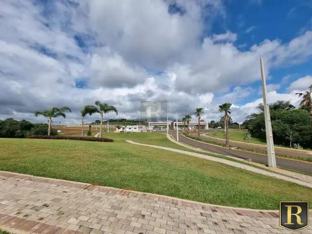 Terreno / Lote para Venda em Guarapuava/PR Morro Alto
