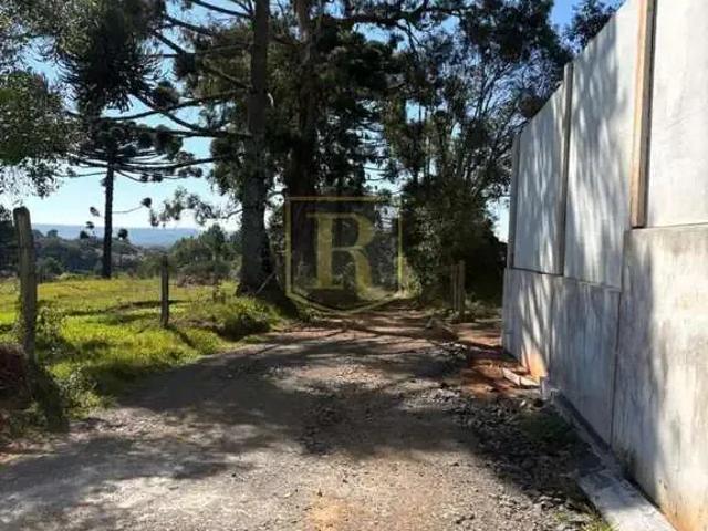 Terreno / Lote para Venda em Guarapuava/PR Morro Alto