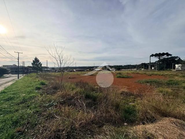 Terreno / Lote para Venda em Guarapuava/PR Morro Alto
