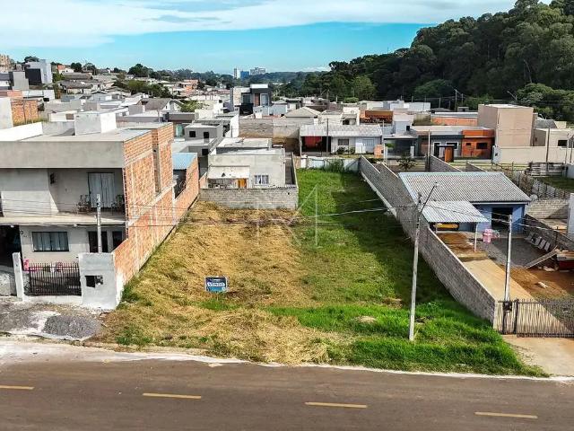 Terreno / Lote para Venda em Guarapuava/PR São Cristóvão