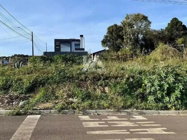 Terreno / Lote para Venda em Guarapuava/PR Santa Cruz