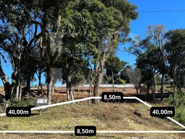 Terreno / Lote para Venda em Guarapuava/PR Santa Cruz