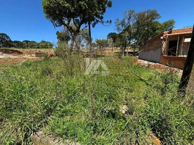 Terreno / Lote para Venda em Guarapuava/PR Santa Cruz