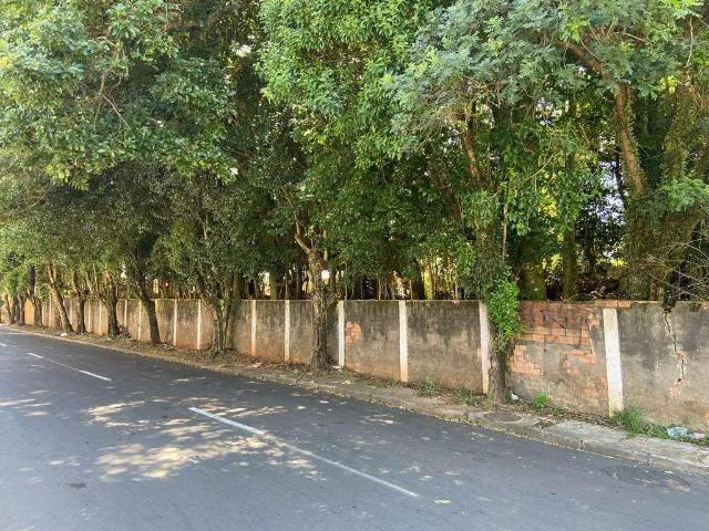Terreno / Lote para Venda em Guarapuava/PR Santa Cruz