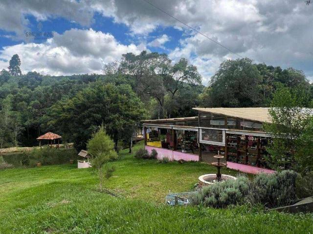 Terreno / Lote para Venda em Guarapuava/PR Santana