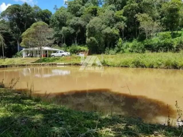 Terreno / Lote para Venda em Guarapuava/PR Palmeirinha