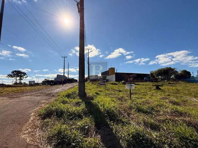 Terreno / Lote para Venda em Guarapuava/PR Primavera