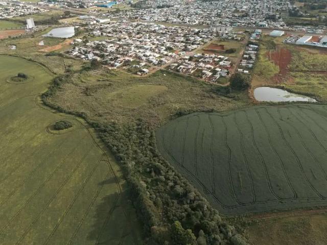 Terreno / Lote para Venda em Guarapuava/PR Vila Bela
