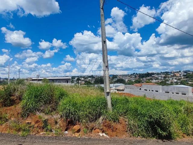 Terreno / Lote para Venda em Guarapuava/PR Vila Carli