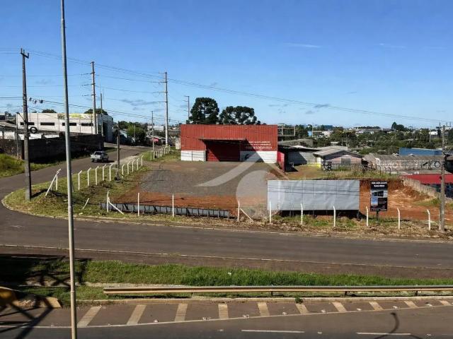 Terreno / Lote para Venda em Guarapuava/PR Vila Carli