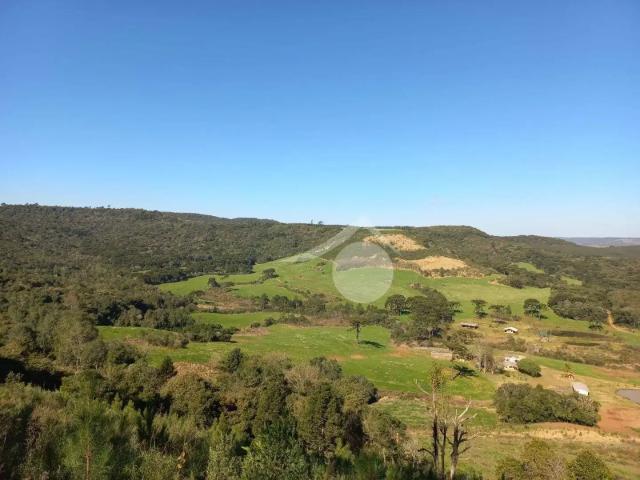 Terreno / Lote para Venda em Guarapuava/PR Vila Jordão