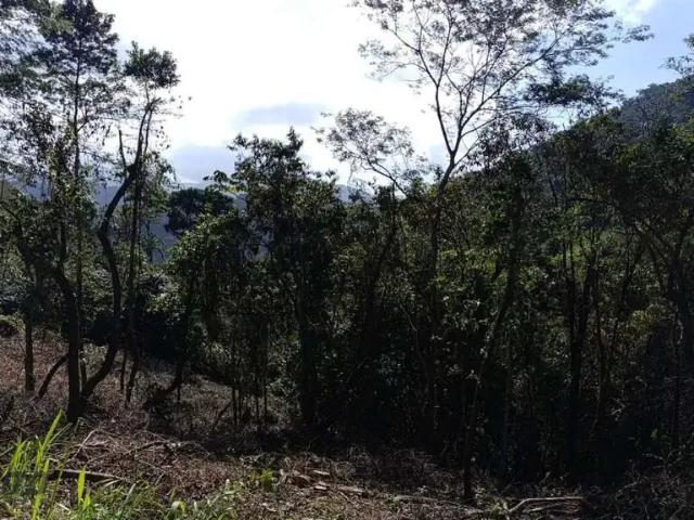 Terreno / Lote para Venda em Guarapari/ES Buenos Aires