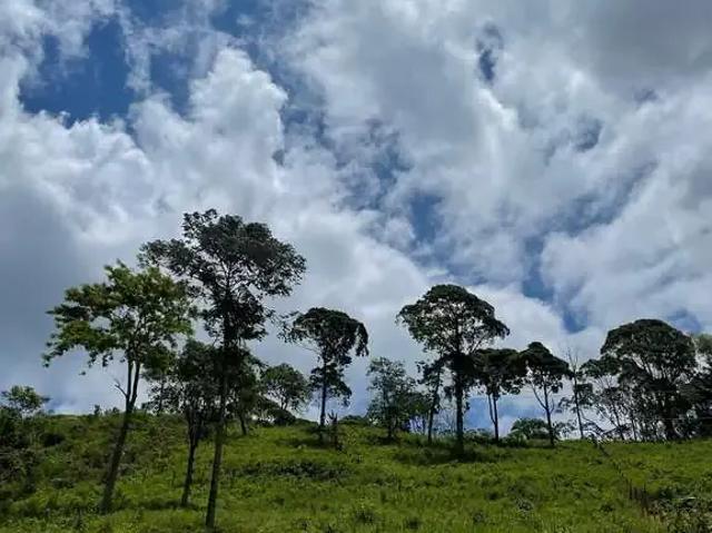 Terreno / Lote para Venda em Guarapari/ES Buenos Aires