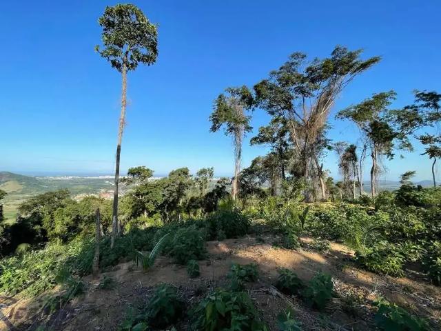 Terreno / Lote para Venda em Guarapari/ES Comunidade Urbana de Jaboti
