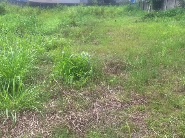 Terreno / Lote para Venda em Guarapari/ES Itapebussu