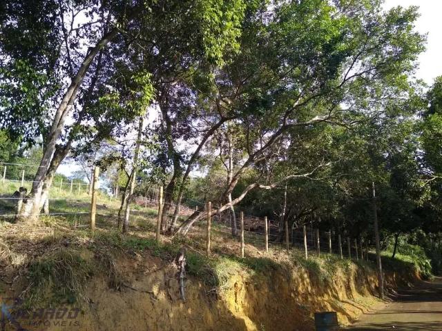 Terreno / Lote para Venda em Guarapari/ES Lameirão