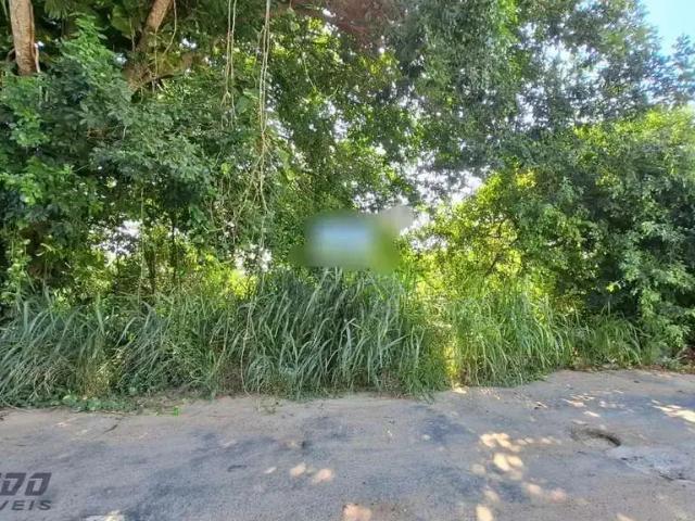 Terreno / Lote para Venda em Guarapari/ES Meaípe
