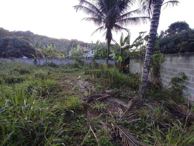 Terreno / Lote para Venda em Guarapari/ES Perocão