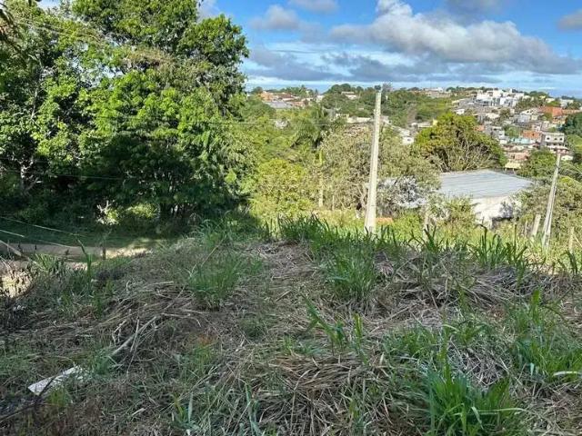 Terreno / Lote para Venda em Guarapari/ES Santa Mônica